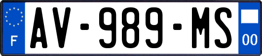 AV-989-MS