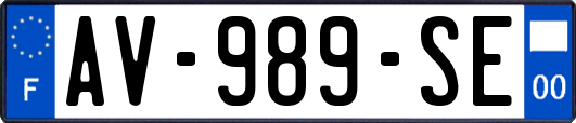 AV-989-SE