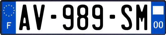 AV-989-SM