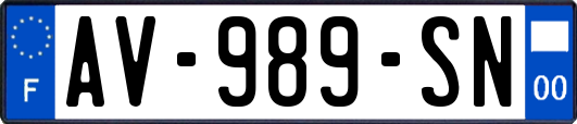 AV-989-SN