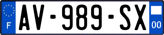 AV-989-SX