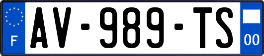 AV-989-TS