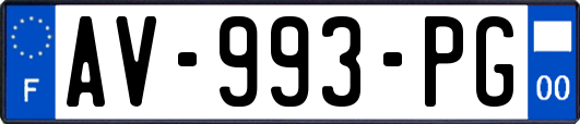AV-993-PG
