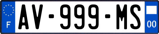 AV-999-MS