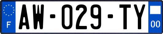 AW-029-TY