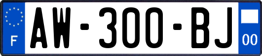 AW-300-BJ