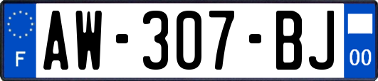 AW-307-BJ