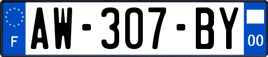 AW-307-BY