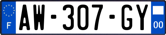 AW-307-GY