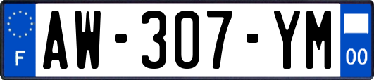 AW-307-YM