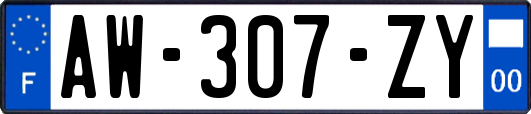 AW-307-ZY