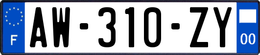 AW-310-ZY