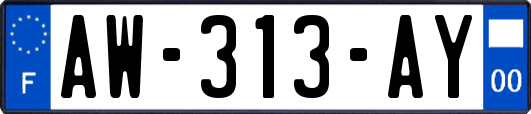 AW-313-AY