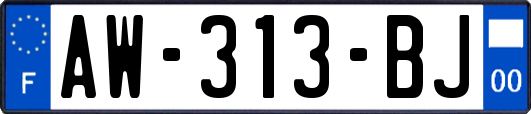 AW-313-BJ