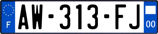 AW-313-FJ