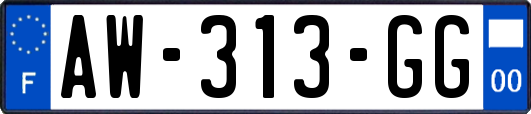 AW-313-GG