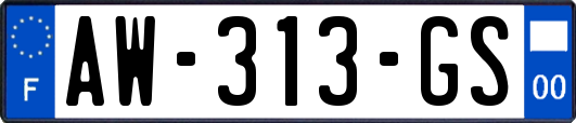 AW-313-GS