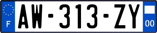 AW-313-ZY