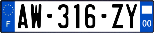 AW-316-ZY