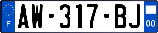 AW-317-BJ