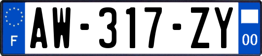 AW-317-ZY