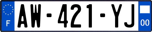 AW-421-YJ