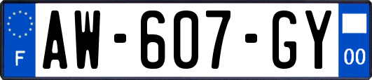 AW-607-GY