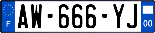 AW-666-YJ
