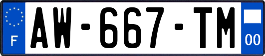 AW-667-TM