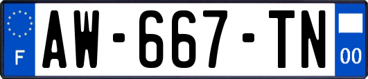 AW-667-TN