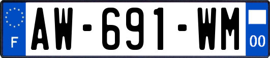 AW-691-WM