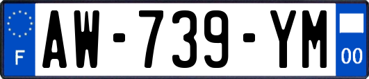 AW-739-YM