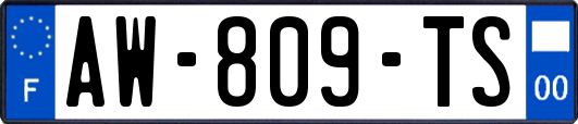 AW-809-TS