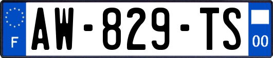 AW-829-TS