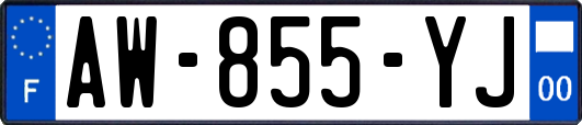AW-855-YJ