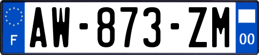 AW-873-ZM