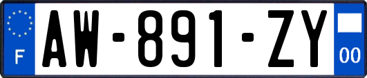 AW-891-ZY