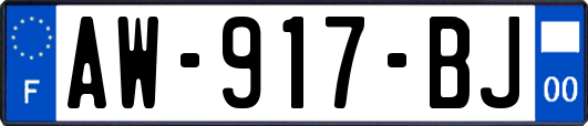 AW-917-BJ