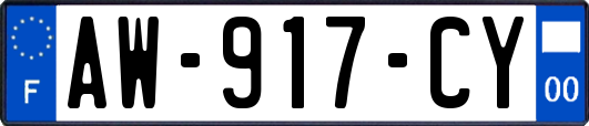 AW-917-CY