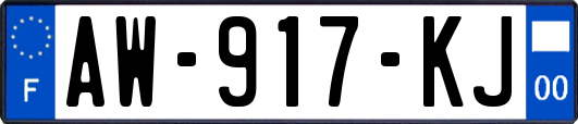 AW-917-KJ
