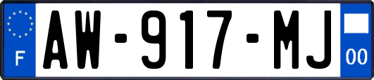 AW-917-MJ