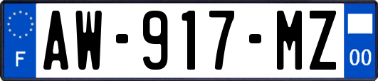 AW-917-MZ