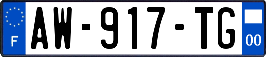 AW-917-TG