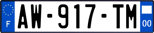 AW-917-TM