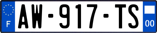 AW-917-TS