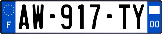 AW-917-TY