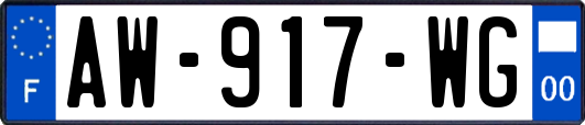 AW-917-WG