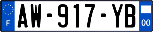 AW-917-YB