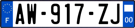 AW-917-ZJ