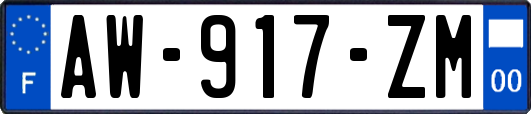 AW-917-ZM